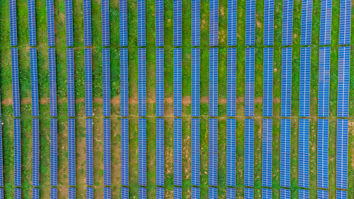 Full frame shot of multi colored background