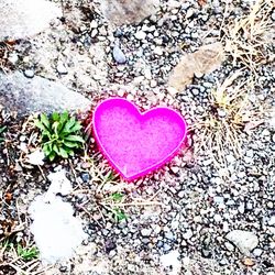 Heart shape on white background