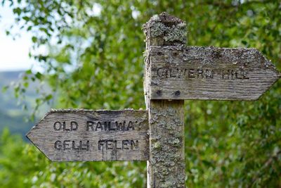 Close-up of text on wood against trees