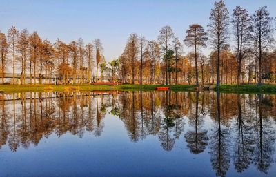 Reflection of trees in lake against sky