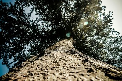 Surface level of road