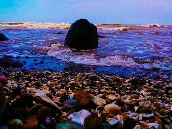 Surface level of rocks on shore