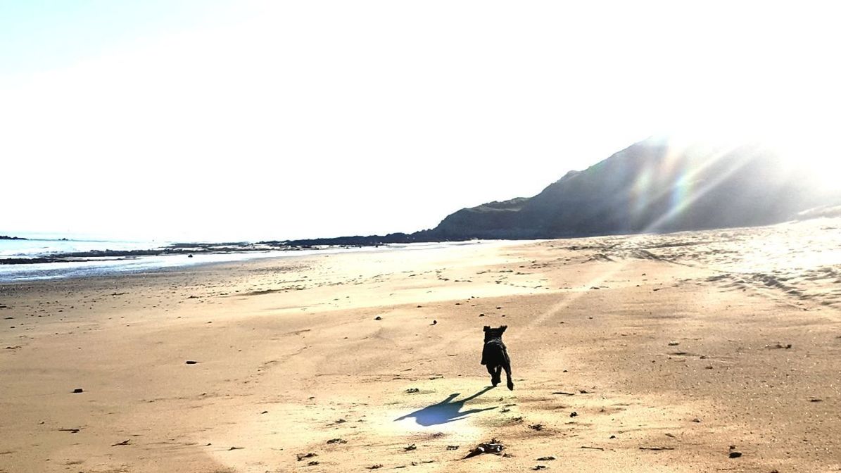 FULL LENGTH OF MAN ON BEACH