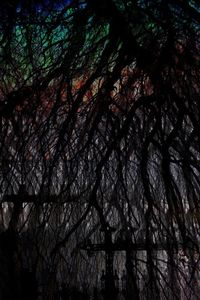 Low angle view of silhouette trees against sky at night