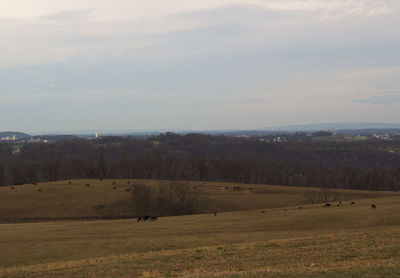 Scenic view of landscape against sky