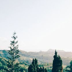 Scenic view of mountains