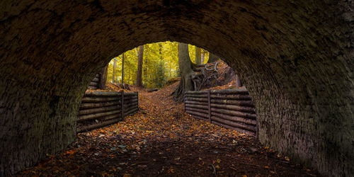 Steps in tunnel