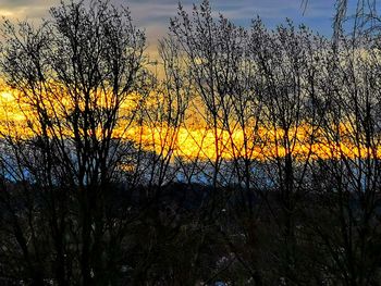 Silhouette plants against sky during sunset