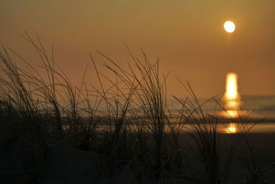 Scenic view of sunset