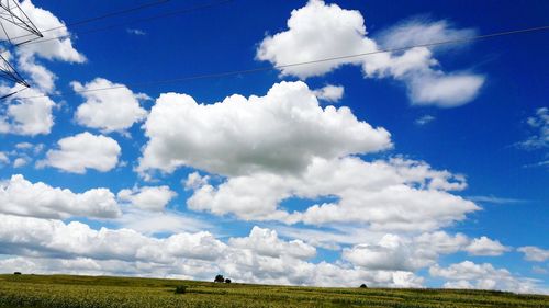 Low angle view of green field against blue sky