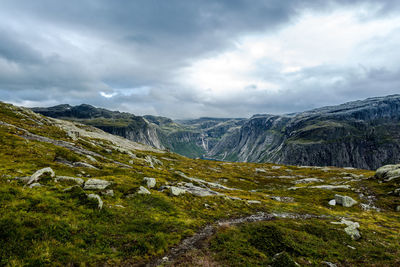 Scenic view of landscape against sky