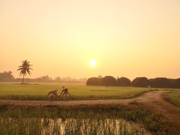 Scenic view of field against sky during sunset