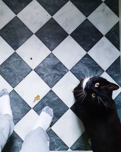 High angle view of hand on tiled floor