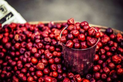 Basket full of jujube berries