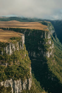 Fortaleza canyon with steep rocky cliffs covered by forest near cambará do sul. brazil.