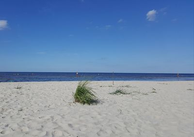 Scenic view of beach against blue sky