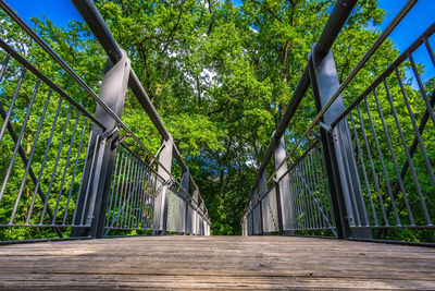 Footbridge amidst trees