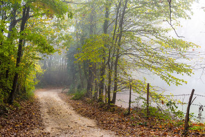 Dirt road passing through lake