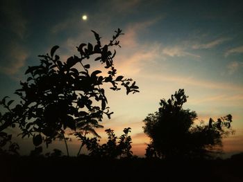 Low angle view of silhouette tree against sky during sunset