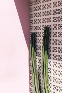 High angle view of colored pencils over white background