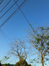 Low angle view of trees against clear blue sky