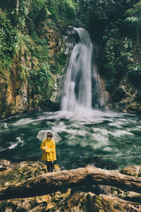 Scenic view of waterfall in forest