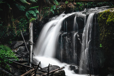 Scenic view of waterfall in forest