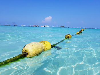 Scenic view of sea against blue sky