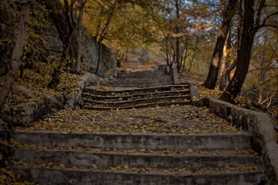 Scenic view of landscape during autumn