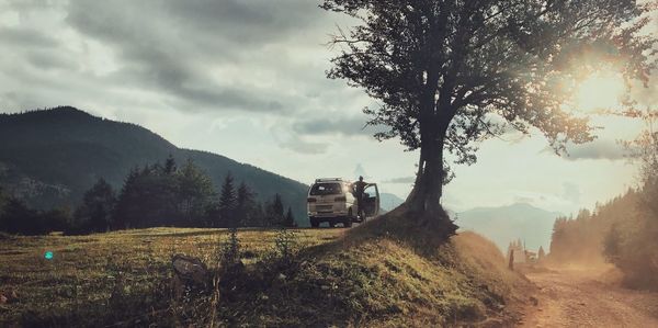 Trees on field against sky