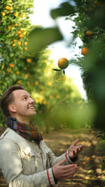 Side view of happy man catching oranges at orchard 