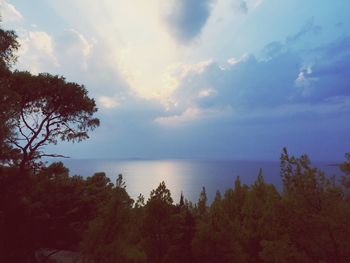 Scenic view of calm sea