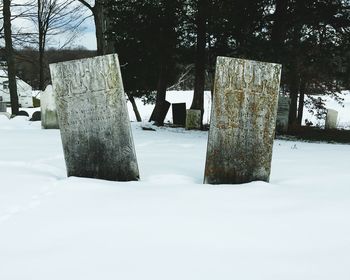 Snow covered trees in winter