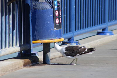 Lunch time