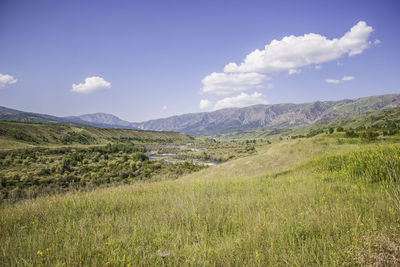 landscape