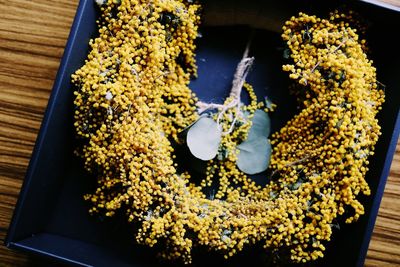 High angle view of flowering plant on table