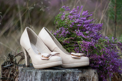 Close-up of purple shoes on plant