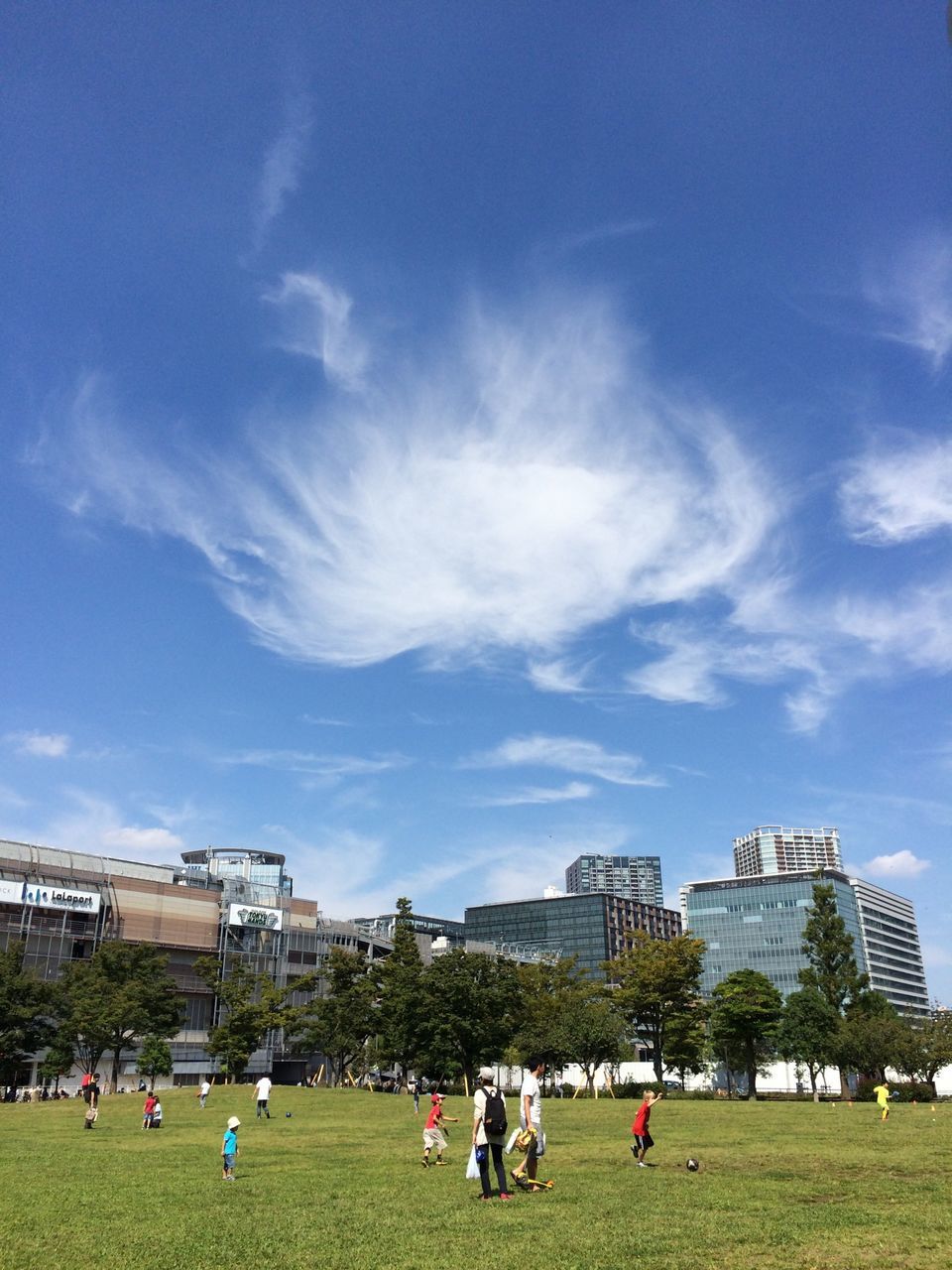 large group of people, building exterior, architecture, built structure, lifestyles, person, leisure activity, men, grass, sky, city, mixed age range, city life, cloud - sky, tourist, lawn, relaxation, vacations, day