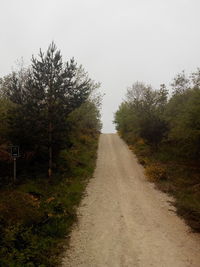 Road passing through landscape