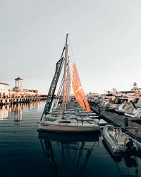 Sailboats moored at harbor against clear sky