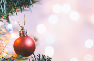 Close-up of christmas lights hanging on tree