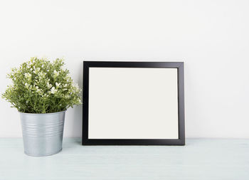 Close-up of potted plant on table against white background