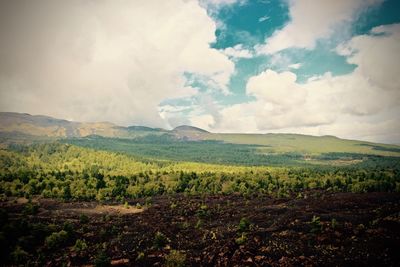 Scenic view of landscape against cloudy sky