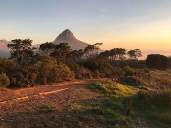 Scenic view of landscape against sky during sunset