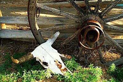 Close-up of rusty machine on field