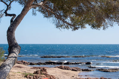 Scenic view of sea against clear sky
