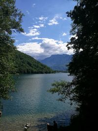 Scenic view of lake in forest against sky