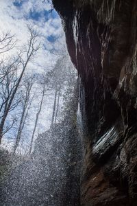 Low angle view of waterfall in forest