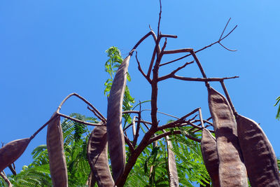 Low angle view of built structure against clear blue sky