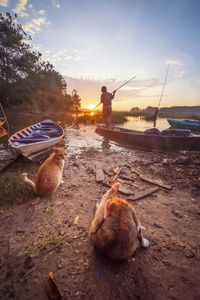 Man lying on land against sky during sunset